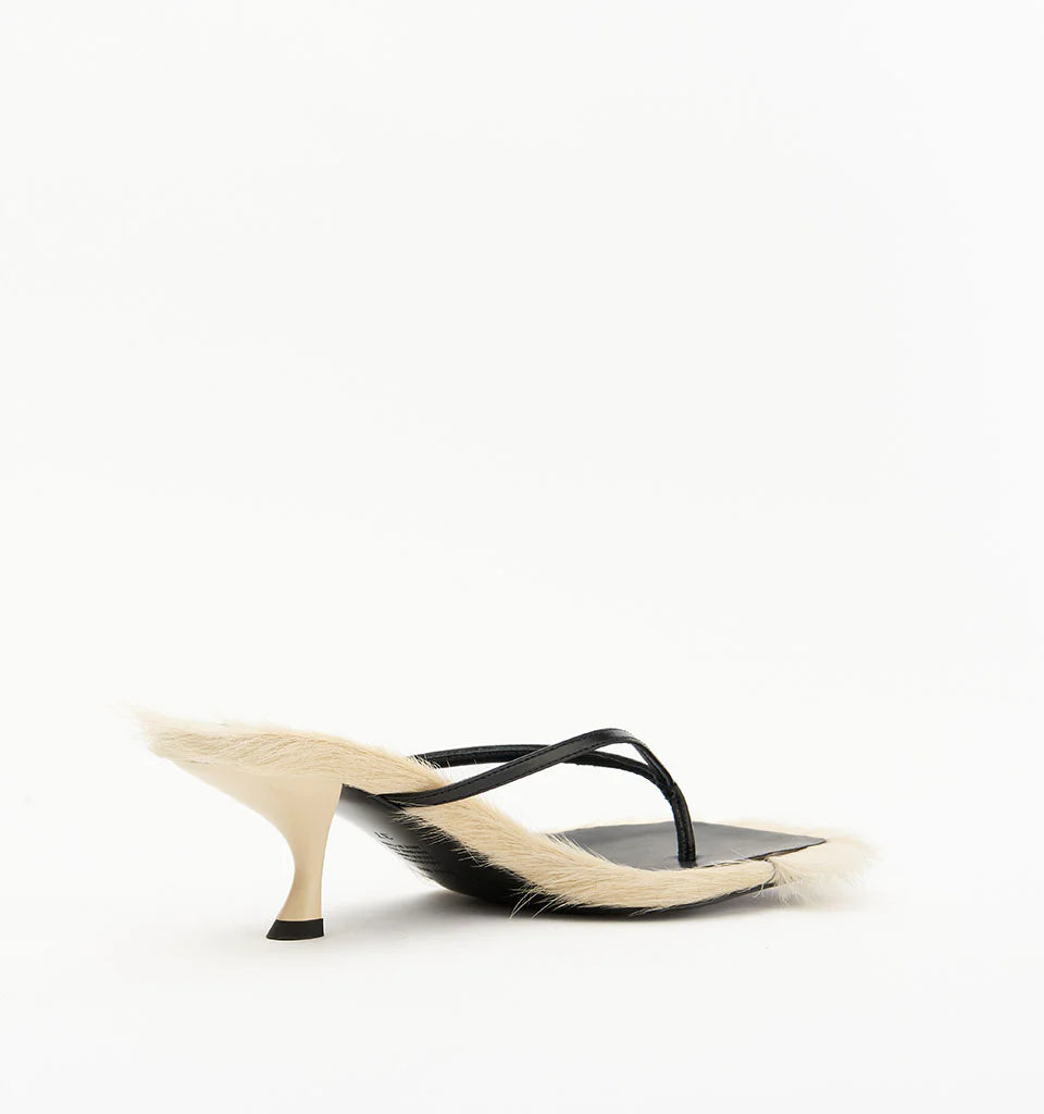 Arli-Buttermilk Pony