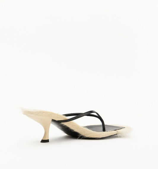 Arli-Buttermilk Pony