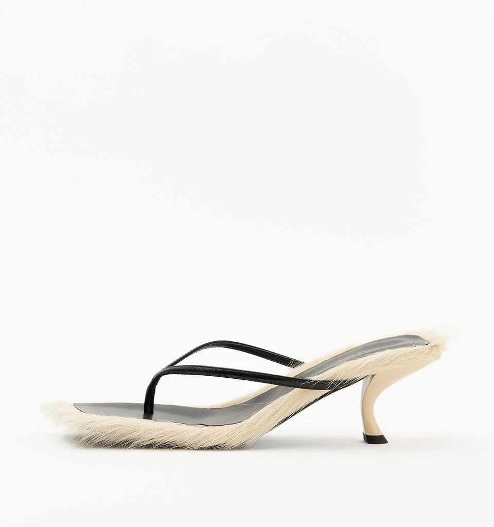 Arli-Buttermilk Pony