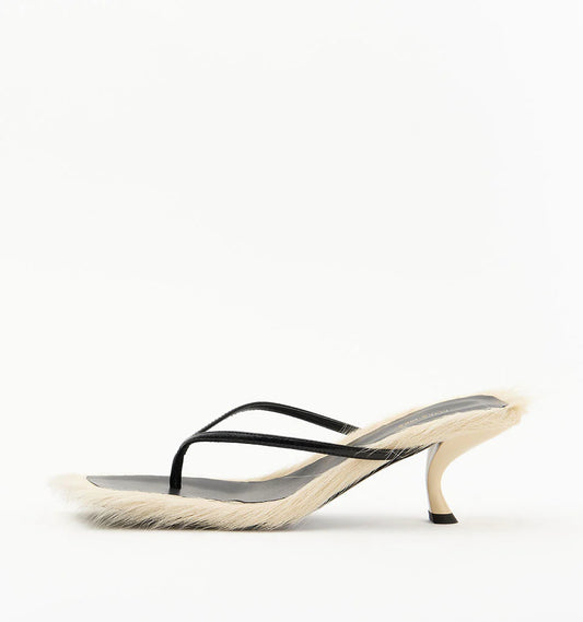 Arli-Buttermilk Pony