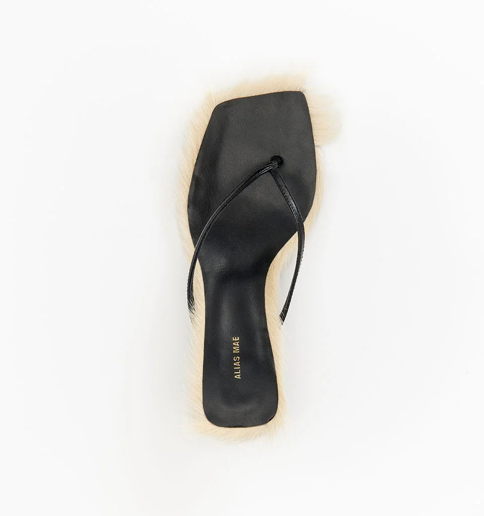 Arli-Buttermilk Pony