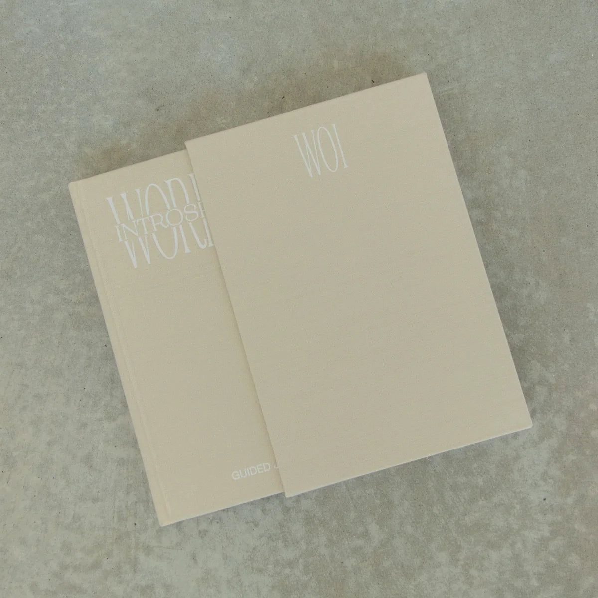 WOI - Guided Journal