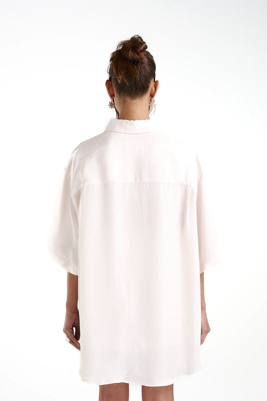 BIG SHIRT W/ STRIPE - CREAM/VICEROY STRIPE